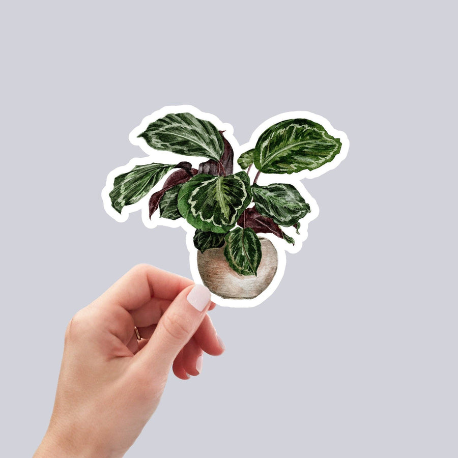 AUTOCOLLANT - PLANTE D'INTÉRIEUR