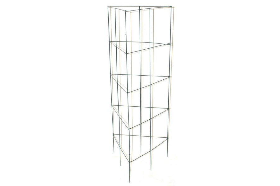 TRELLIS FOR TOMATOES & PLANTS