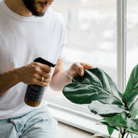 ELIXIR DE PLANTE - PRÊT À L'EMPLOI