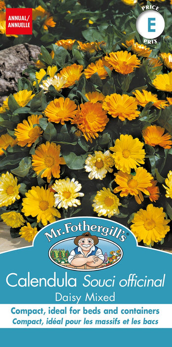 SEMENCES DE FLEURS: SOUCI OFFICINAL - DAISY  MIXED