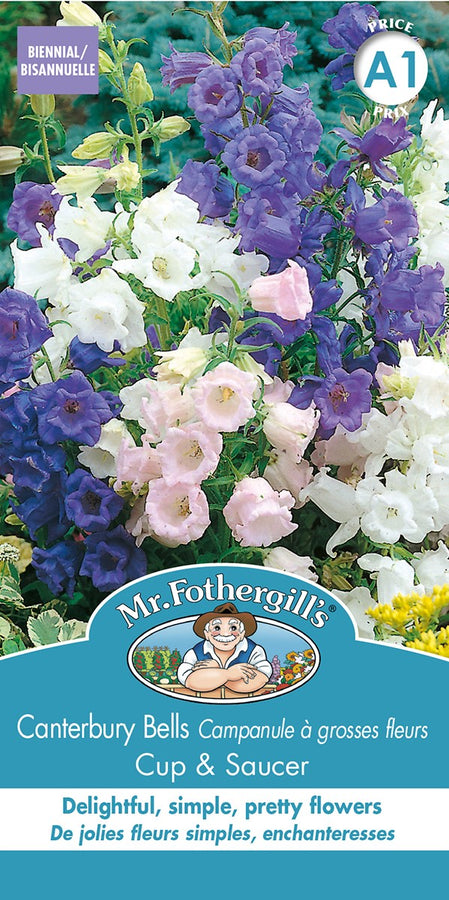 SEMENCES DE FLEURS: CAMPANULE A GROSSE FLEURS - CUP & SAUCER