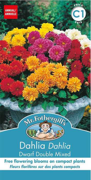 SEMENCES DE FLEURS: DAHLIA - DWARF DOUBLE MIX