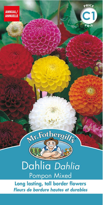 SEMENCES DE FLEURS: DAHLIA - POMPON MIXED