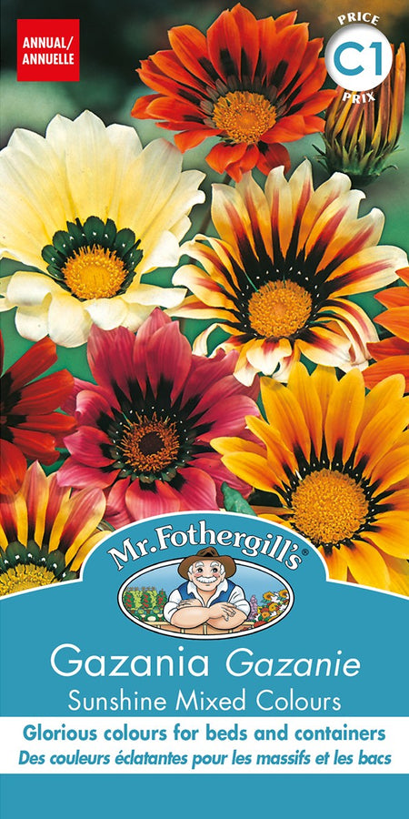 SEMENCES DE FLEURS: GAZANIA - SUNSHINE MIXED