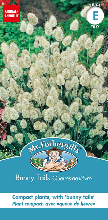 SEMENCES DE FLEURS: QUEUE DE LIEVRES