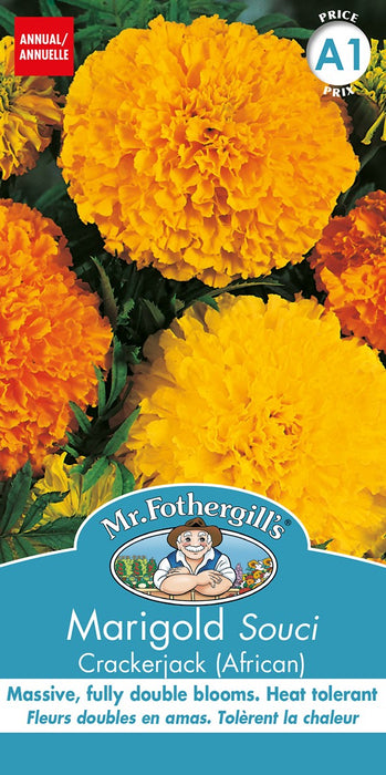 SEMENCES DE FLEURS: SOUCI - MARIGOLD AFRICAN CRACKER