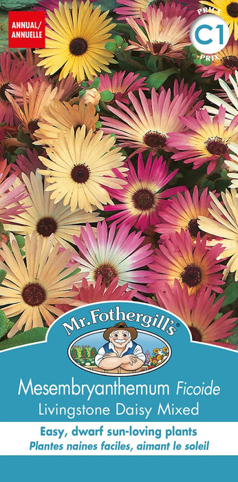 SEMENCES DE FLEURS: FICOIDE - LIVINGSTONE DAISY MIXED