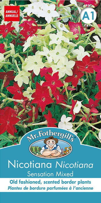 SEMENCES DE FLEURS: NICOTINE - SENSATION MIXED