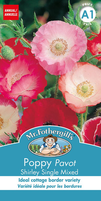 SEMENCES DE FLEURS: PAVOT - SHIRLEY SINGLE MIXED