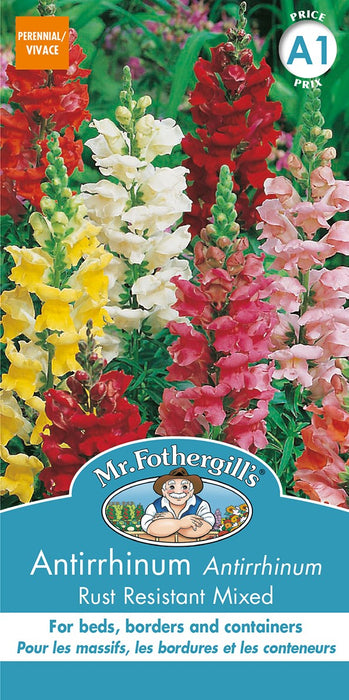 SEMENCES DE FLEURS: ANTIRRHINUM - SNAPDRAGON RUST RESIST