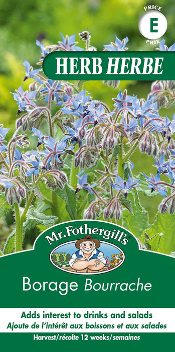 SEMENCES DE FINES HERBES: BOURRACHE