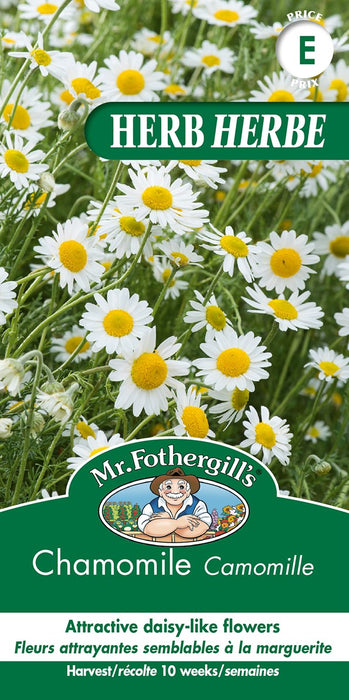SEMENCES DE FINES HERBES: CAMOMILLE