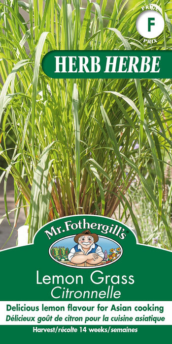 SEMENCES DE FINES HERBES: CITRONNELLE
