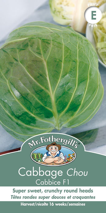 SEMENCES DE LEGUMES: CHOU - CABBICE