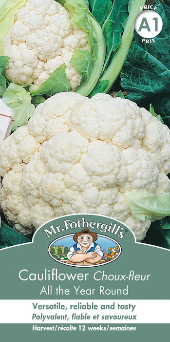 SEMENCES DE LEGUMES: CHOU-FLEUR - ALL YEAR ROUND