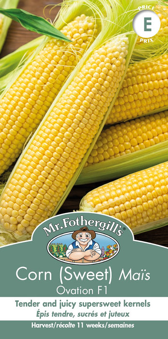 SEMENCES DE LEGUMES: MAIS - OVATION