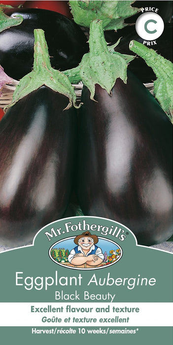 SEMENCES DE LEGUMES: AUBERGINE - BLACK BEAUTY