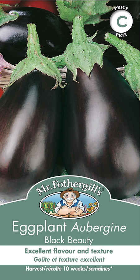 SEMENCES DE LEGUMES: AUBERGINE - BLACK BEAUTY