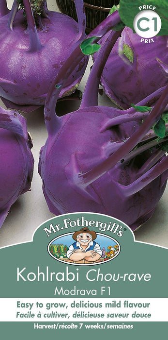 SEMENCES DE LEGUMES: CHOU RAVE - RABI MODRAVA