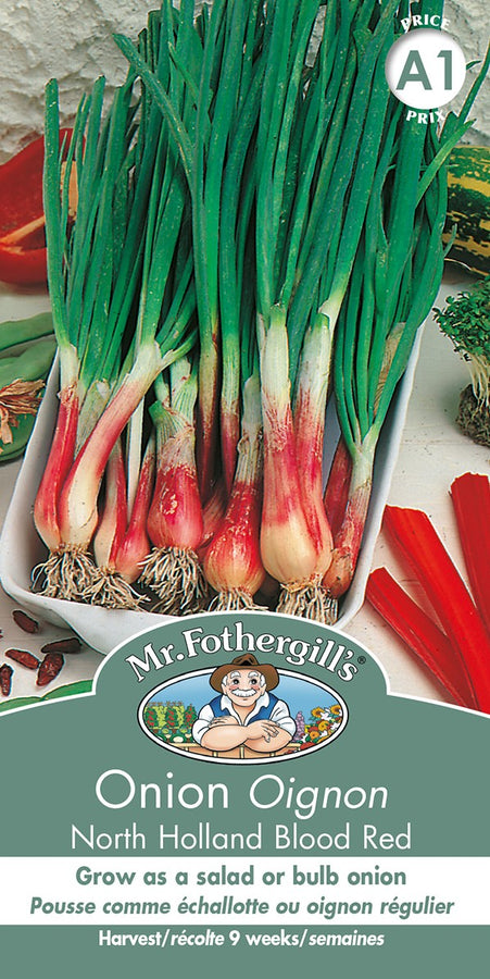 SEMENCES DE LEGUMES: OIGNON - NORTH HOLLAND BLOOD RED