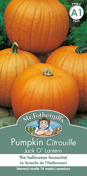SEMENCES DE LEGUMES: CITROUILLE - JACK O LANTERNE