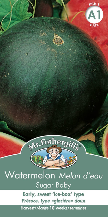 SEMENCES DE LEGUMES: MELON D'EAU - SUGAR BABY