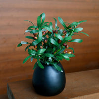 BOUQUET BRINS OLIVIER ARTIFICIEL ENSEMBLE 3 DECOR RUSTIQUE INTERIEUR ESTHETIQUE