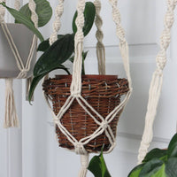 SUPPORT POUR PLANTES EN MACRAMÉ | JARDINIÈRE SUSPENDU D'INTÉRIEUR
