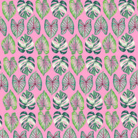 PAPIER CADEAU - BEAUTIFUL HOUSEPLANTS