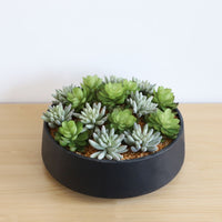 SUPERB ARTIFICIAL SUCCULENT ARRANGEMENT IN DECORATIVE BLACK INDOOR POT