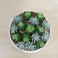 FAUX SUCCULENT SET IN WHITE LOW POT INTERIOR DECORATION