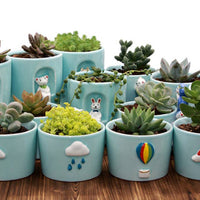 CACHE-POT - POSTES MÉTÉOROLOGIQUES