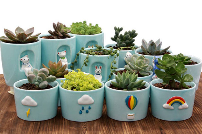 CACHE-POT - POSTES MÉTÉOROLOGIQUES