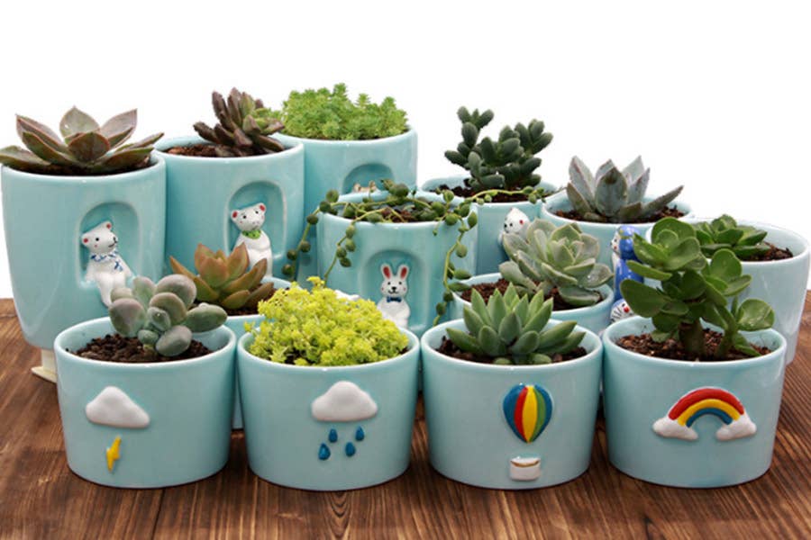 PLANTER - WEATHER STATIONS