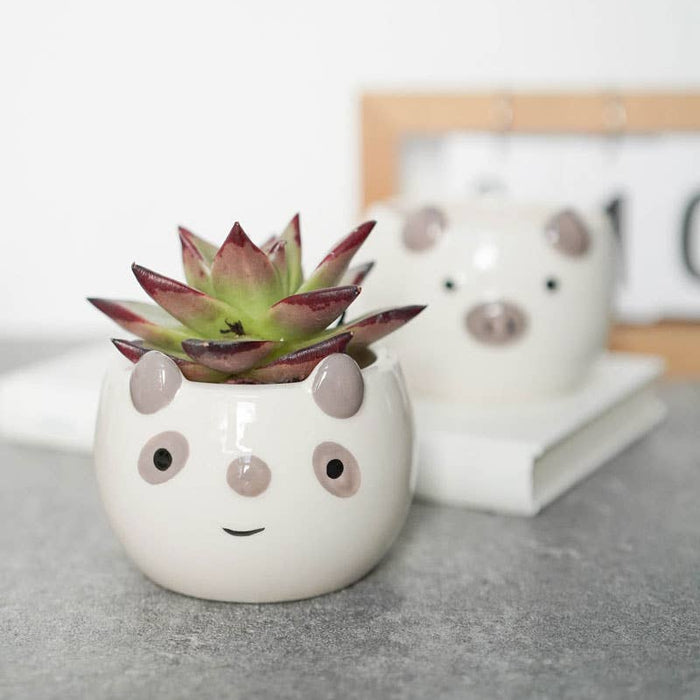 POT - AMIMAL