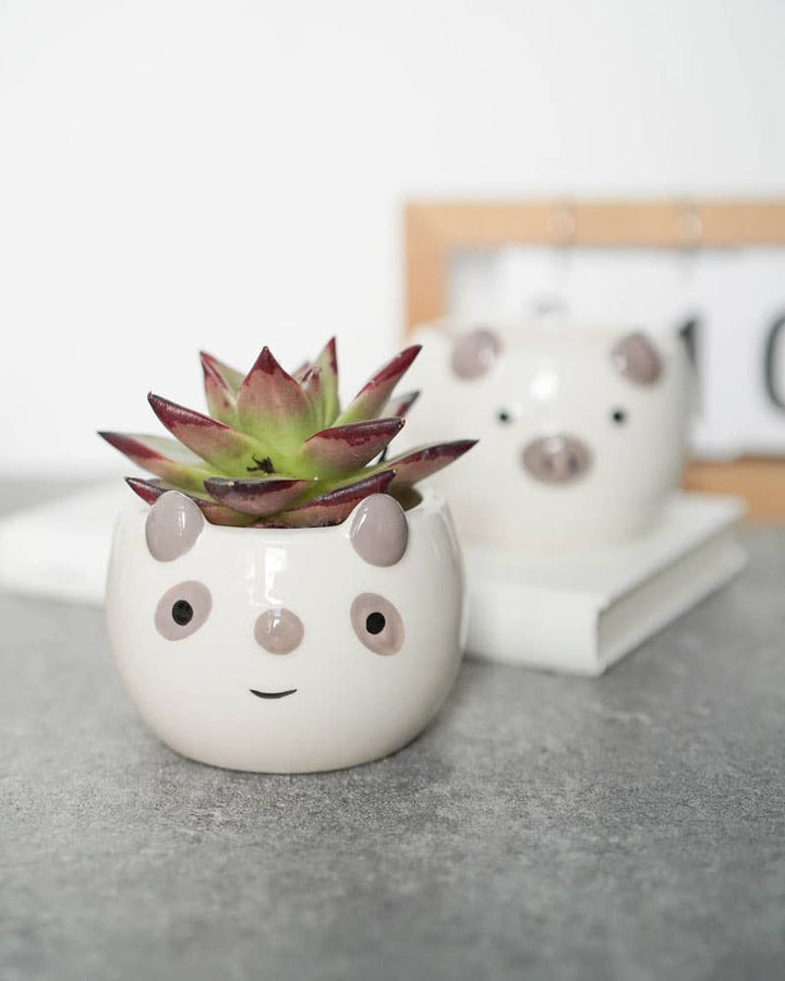 POTS - ANIMAL