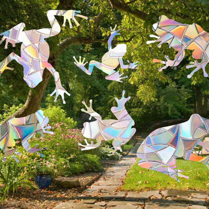 CAPTEURS DE SOLEIL EN FORME DE GRENOUILLE