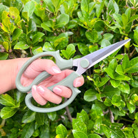 PRUNING SHEARS