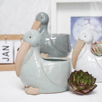 POT - PÉLICAN GLACÉ