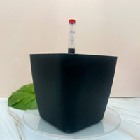 POT AUTO-ARROSANT DE 6 POUCES