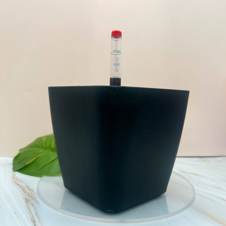 POT AUTO-ARROSANT DE 6 POUCES