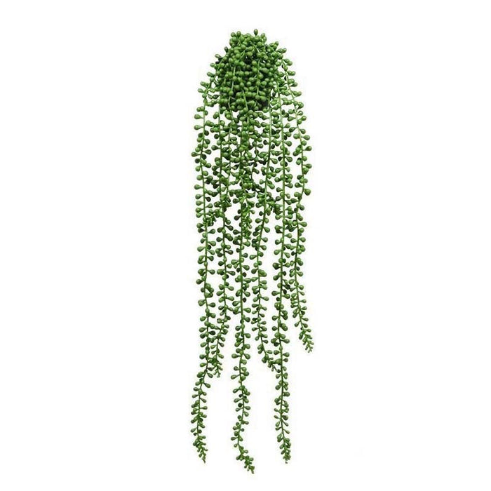 PLANTE ARTIFICIELLE - STRING OF PEARLS