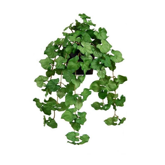 PLANTE ARTIFICIELLE - LIÈGE