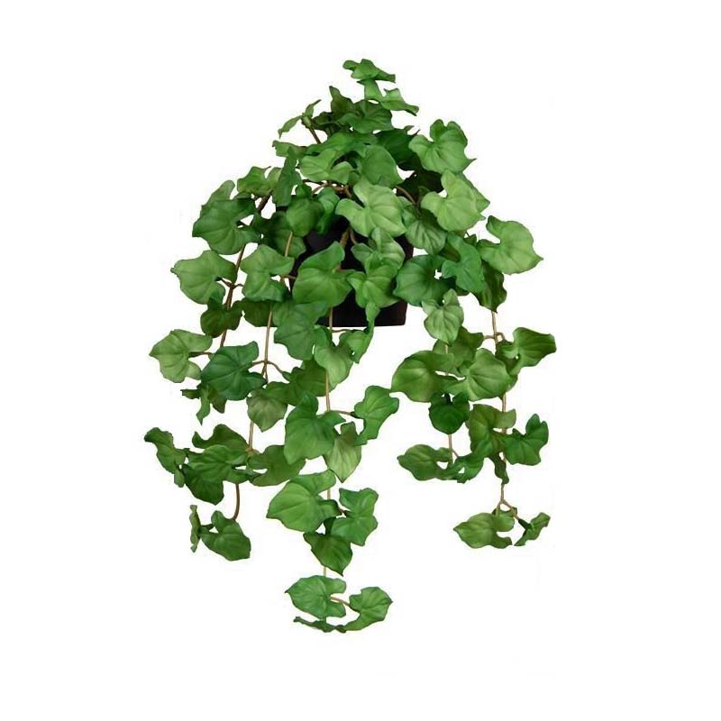 PLANTE ARTIFICIELLE - LIÈGE