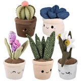 PELUCHE - PLANTES GRASSES