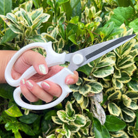 PRUNING SHEARS