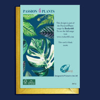 CARTE DE VOEUX - PLANTES D'INTERIEUR COLEUS ROSE