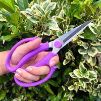 PRUNING SHEARS