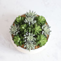 FAUX SUCCULENT SET IN WHITE LOW POT INTERIOR DECORATION