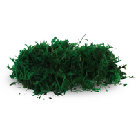 MOUSSE DE FORÊT STABILISÉE DE QUALITÉ SUPÉRIEURE